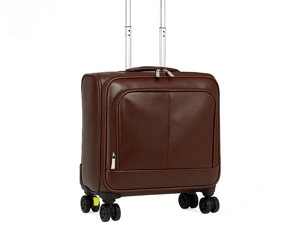 carry on 20 suitcase