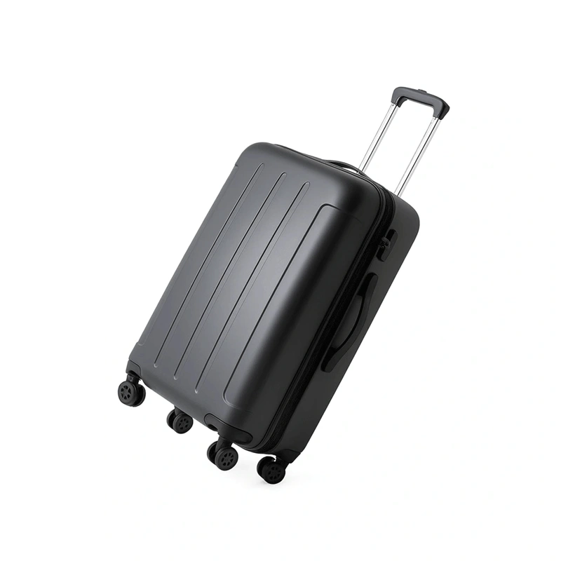 Custom Large Suitcases