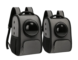 Smart Backpack Pet Carrier Size