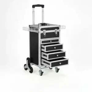 Beauty Salon Trolley 2 in 1 Rolling Makeup Case