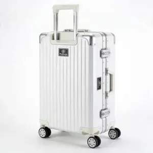 Professional Rolling Makeup Train Suitcase