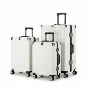 Spinner Luggage Suitcase with Aluminum Frame