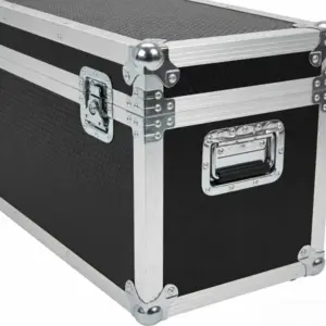 Standard Lighting Flight Case