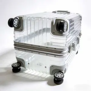 Transparent Spinner Suitcase