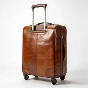 leather trolley bag