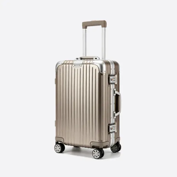 Aluminum Checked Luggage - Image 4