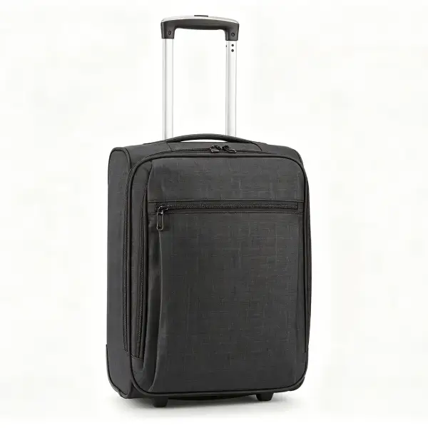 Collapsible Checked Luggage - Image 2