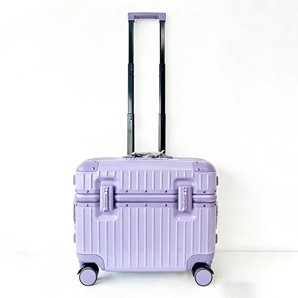 Custom Pilot Luggage Carry On