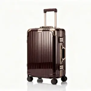 Designer Carry on Luggage