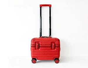 Flight Suitcase